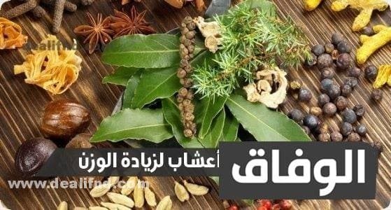 أعشاب لزيادة الوزن 05 تركيبات سحريه!؟ جدااا