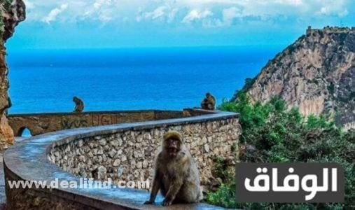 مواقع المحميات الطبيعية في الجزائر على الخريطة