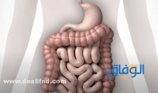 علاج مرض القولون العصبي في 10 دقائق