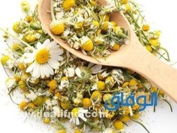 البابونج وعلاج القولون العصبي
