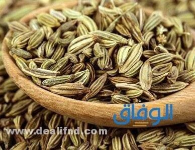 الشمر وعلاج القولون العصبي وصفه