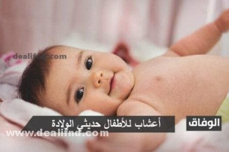 أعشاب للأطفال حديثي الولادة مهدئة ومنومة للرضع