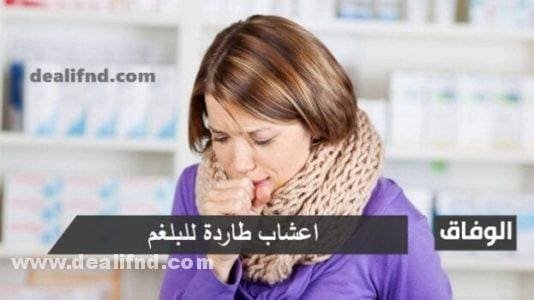 09 أعشاب طارد للبلغم وموسع للشعب الهوائية ✓ للرئتين
