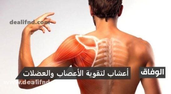 أعشاب لتقوية الأعصاب والعضلات