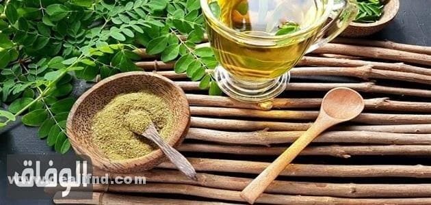 اعشاب المورينجا
