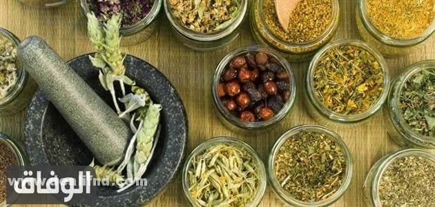 أعشاب للقولون والمعدة والامساك مجربة 100% في 3 دقائق الوفاق أعشاب للقولون والمعدة والامساك