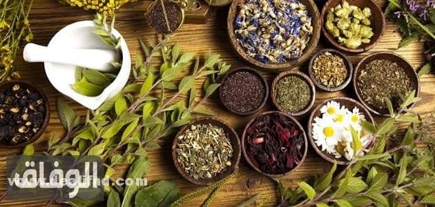 اعشاب للكحة الناشفة / البلغم