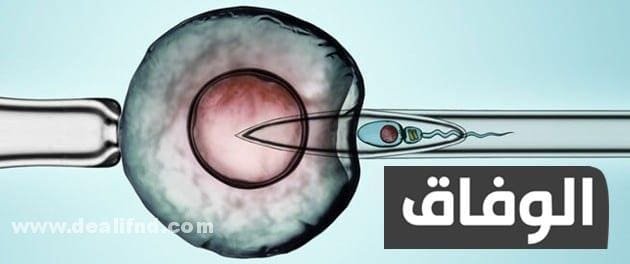 الراحة بعد الحقن المجهري