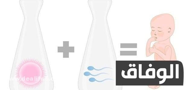 الفرق بين الحقن المجهري واطفال الانابيب