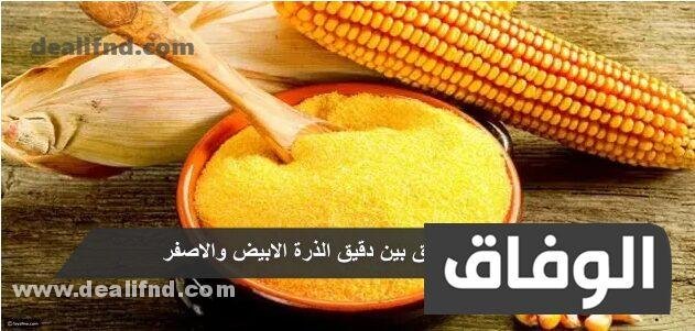 الفرق بين دقيق الذرة الابيض والاصفر – ما هو دقيق الذرة