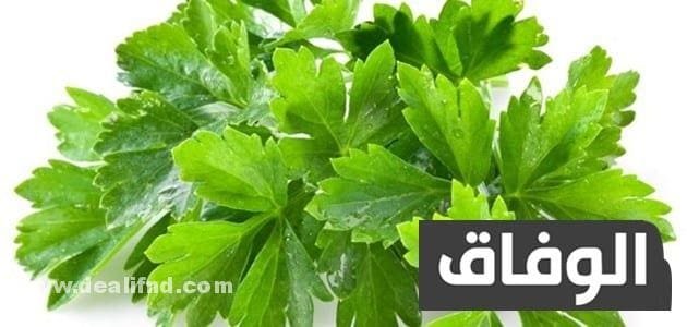 أعشاب تخسيس البطن والأرداف