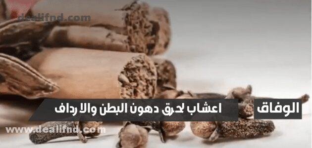 أعشاب لحرق الدهون البطن والأرداف 07 انواع لا غني عنها!