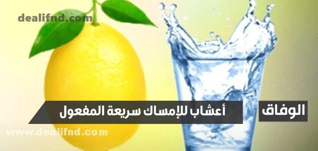 أعشاب للإمساك سريعة المفعول ومشروبات 20 ملين طبيعي