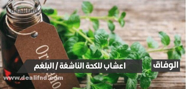 تعرف على اعشاب للكحة الناشفة / البلغم والسعال التحسسي والجاف