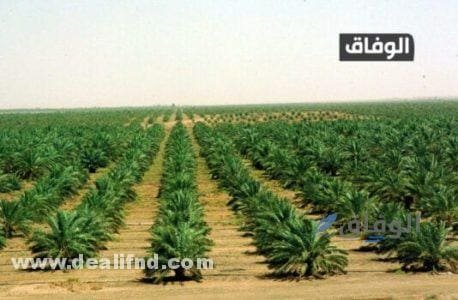 انواع التربة في الجزائر