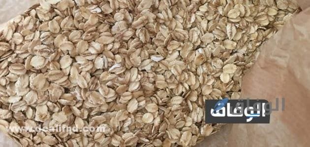 كمية البروتين في الشوفان + فوائد وأضرار الشوفان