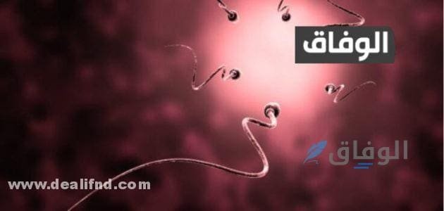 أدوية لزيادة كمية السائل المنوي