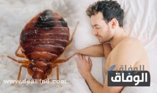 القضاء على الفاش نهائيا من المنزل علاج نهائي فعال 100% القضاء على الفاش نهائيا من المنزل