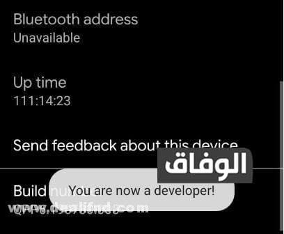 ة you are now developer