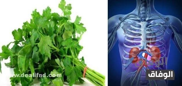 05 (أعشاب للكلى) سحرية لتنظيف الكلى 2024