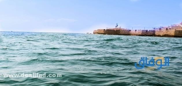 تفسير حلم السباحة في البحر الهادئ للعزباء