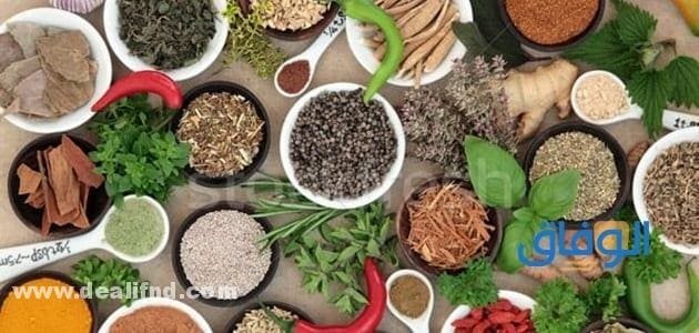 أفضل 05 طرق (علاج ألم كعب القدم بالأعشاب) لنتائج مذهلة 2024 علاج ألم كعب القدم بالأعشاب