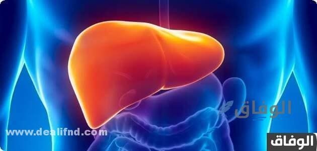 كمية الدم اللازمة لنقل فيروس سي