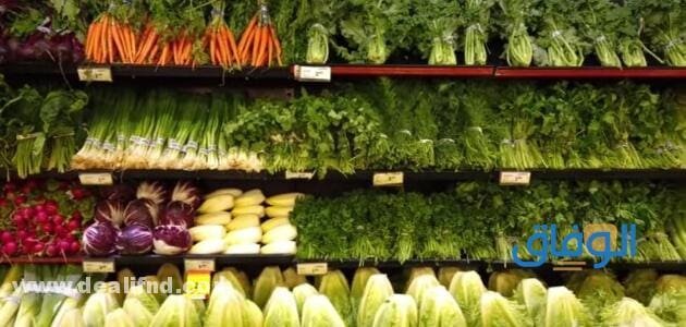 نصائح سهلة التطبيق و طعام بدون سعرات حرارية لدايت أسهل