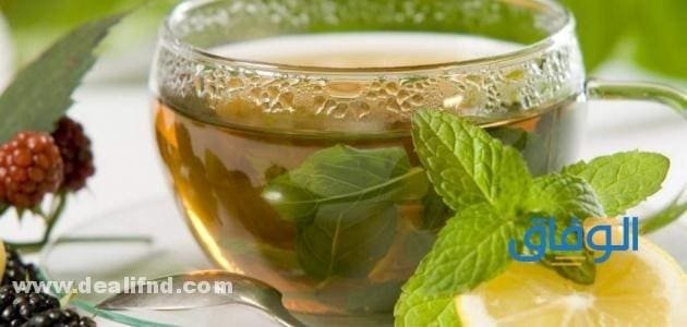 +07 (أفضل علاج للقلق والتوتر والخوف بالاعشاب) أشهر الطرق