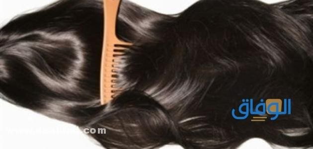 أفضل فيتامينات لتطويل الشعر وتكثيفة من الصيدلية أفضل فيتامينات لتطويل الشعر وتكثيفة من الصيدلية