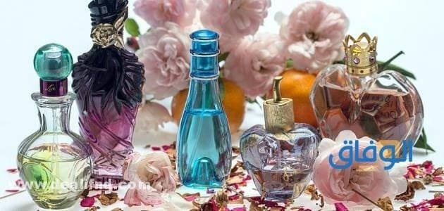افضل عطور درعه للنساء فواحه وثابتة