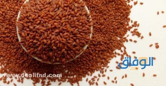 (علاج دوالي الخصية دون جراحة باستخدام الأعشاب الطبيعية) حب الرشاد لعلاج دوالي الخصيتين