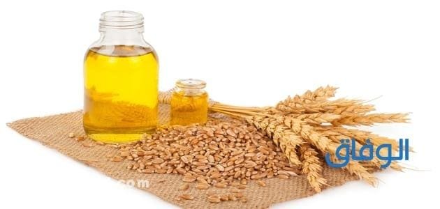 زيت جنين القمح للوجه تجربتي