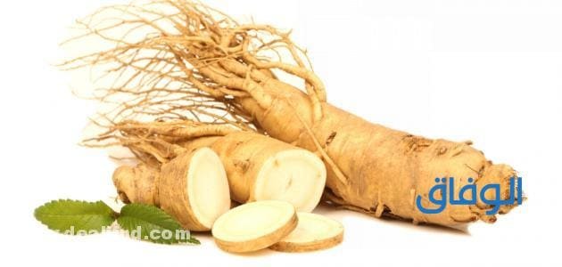 (علاج دوالي الخصية دون جراحة باستخدام الأعشاب الطبيعية) علاج دوالي الخصية بعشبة الجنسينج