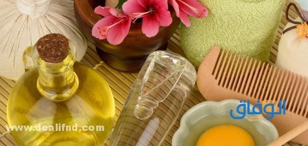 4 من أفضل كريم للشعر الجاف والمتقصف ومميزاتهم وطرق استخدامهم