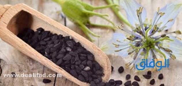 طريقة خلط العسل مع حبة البركة وفوائدها للرجال والحوامل