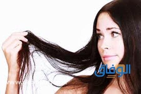 مشكلات الشعر وانواعه – بالتفصيل 2024