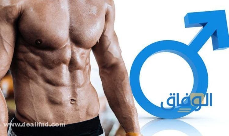 أسماء أدوية لزيادة هرمون التستوستيرون في صيدليات مصر ومواصفاتها