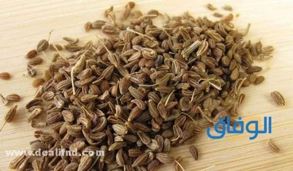 اليانسون لحديثي الولادة