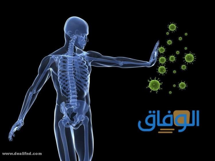 برنامج سحب السموم السريع من الجسم بالتفصيل