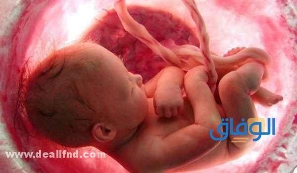 تعب الحمل في الشهر السابع