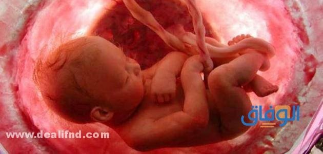 تعب الحمل في الشهر السادس وأهم 6 أعراض