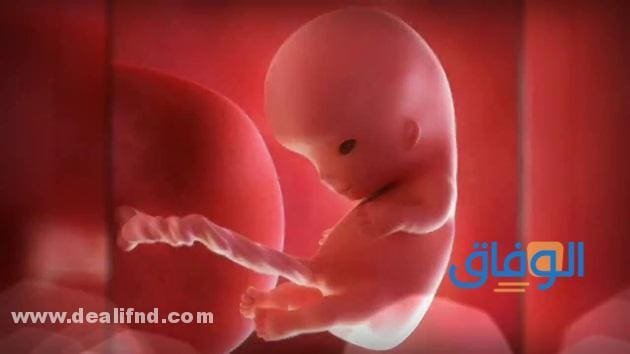 تعب الشهر الرابع من الحمل – 16 نقطه مهمة جداااا لكي