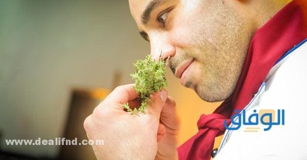 أسباب فقدان حاسة الشم والتذوق بسبب الجيوب الأنفية “بالتفصيل”