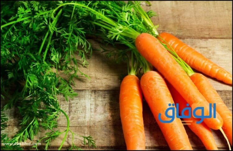 تفسير حلم (الجزر في المنام) للرجل والمرأة – ابن سيرين والنابلسي