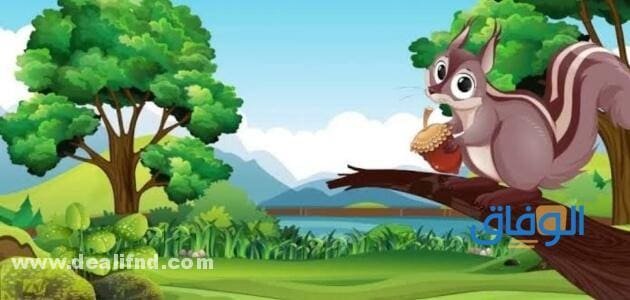 قصة عن التعاون