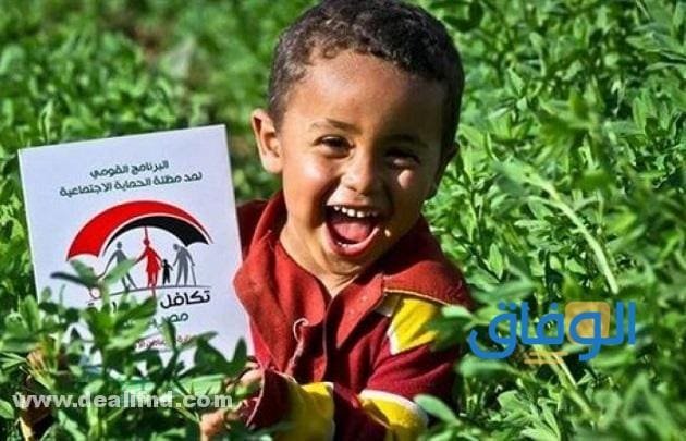 استعلام بالرقم القومي تكافل وكرامة | بالرقم القومي! معاش تكافل