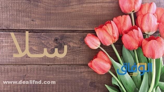 معنى اسم سلا وصفات حاملة الاسم (بالتفصيل)