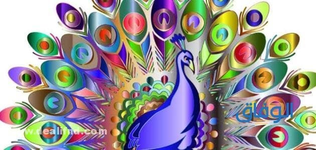 +07 أجمل (قصص اطفال قبل النوم مكتوبة بالعامية) اللهجة المصرية