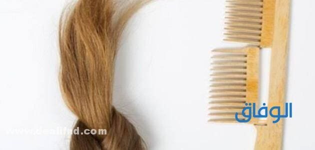 خلطة الزيوت لعلاج (مشاكل أطراف الشعر) + نصائح